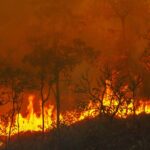 Vemos fogo. Como podemos fazer a detecção de incêndio em florestas?